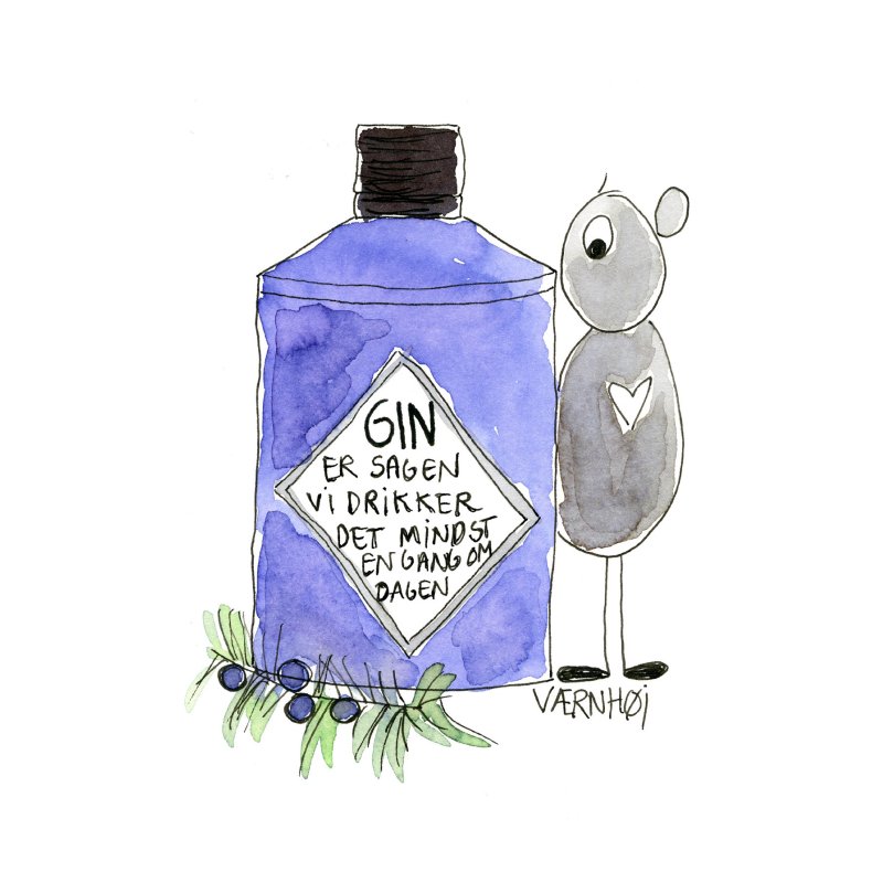 Gin er sagen - vi drikker det mindst engang om dagen! 
